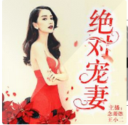 绝对宠妻