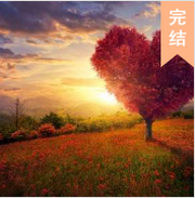 从开始到现在