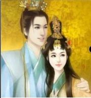 世子独宠：穿越小医妃