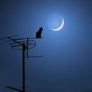 深夜故事——短篇