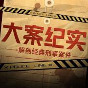 中国大案要案