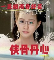 侠骨丹心