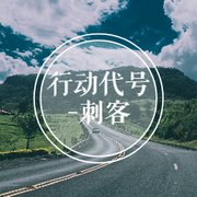 行动代号-刺客