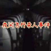 夜间飞行杀人事件